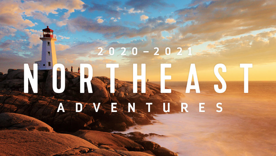 אואזיס אוף דה סיז בדרך לתפוח הגדול. צילום רויאל