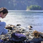 נורוויג’ן קרוז ליין אחזקות מחויבת לשמירה על איכות הסביבה