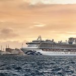 דיימונד פרינסס עברה ניקוי וחיטוי יסודי