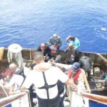 אונייה של קרניבל קרוז ליין חילצה אזרחים קובניים מלב ים