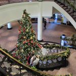 הפלגות יוקרתיות בחג המולד, חנוכה וראש השנה האזרחית