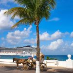 שוניות האלמוגים ניצחו: קוזומל דוחה את הרחבת המזח הרביעי