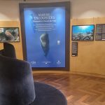 “מפגשים ימיים” – תערוכת צילומי טבע ייחודית ב-EXPLORA II