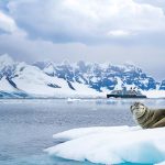 סיבורן פורשת מפה חדשה לעולם – הפלגות יוקרה 2028–2027