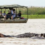 מחוץ לאירופה: יעדי שייט נהרות מרהיבים שאסור לפספס