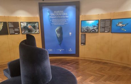 “מפגשים ימיים” – תערוכת צילומי טבע ייחודית ב-EXPLORA II