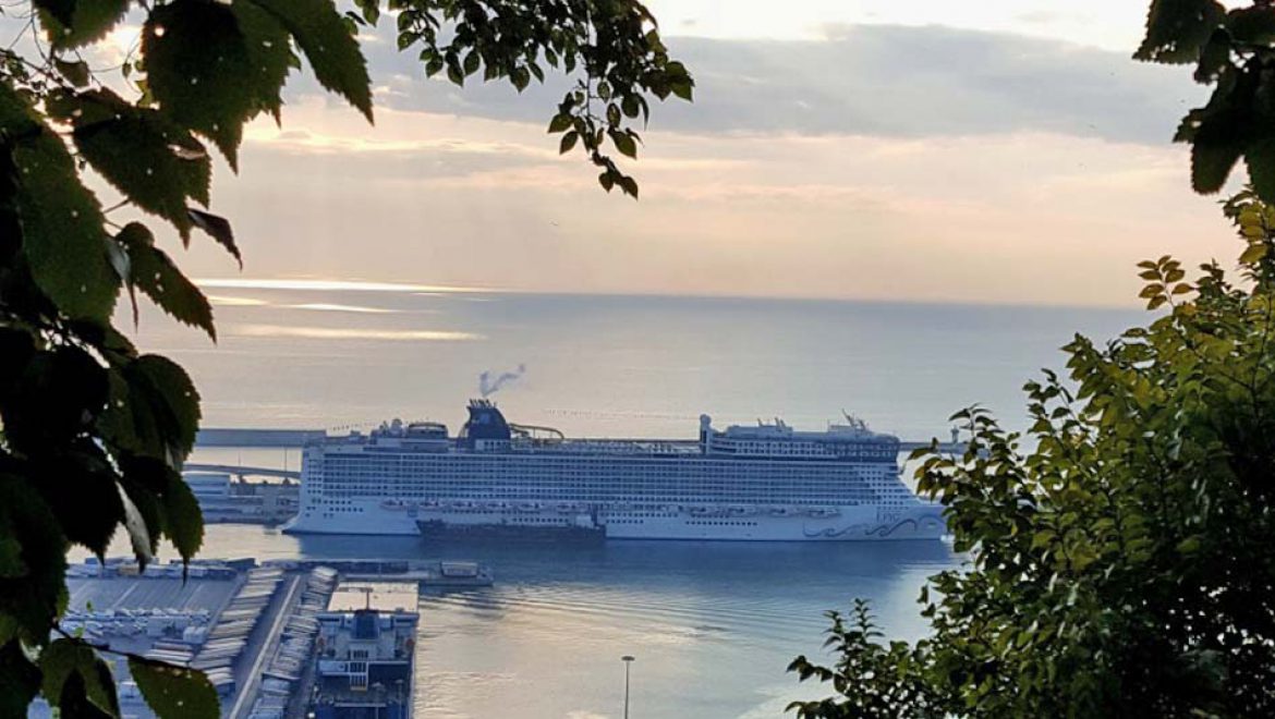 נורוויג’ן אפיק: ריזורט מְשַׁיֵּט בקונספט Feel Free מפנק