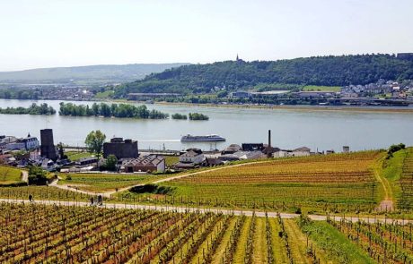 קבוצת גורדון תיירות מציעה לינה לישראלים “תקועים” בחו”ל