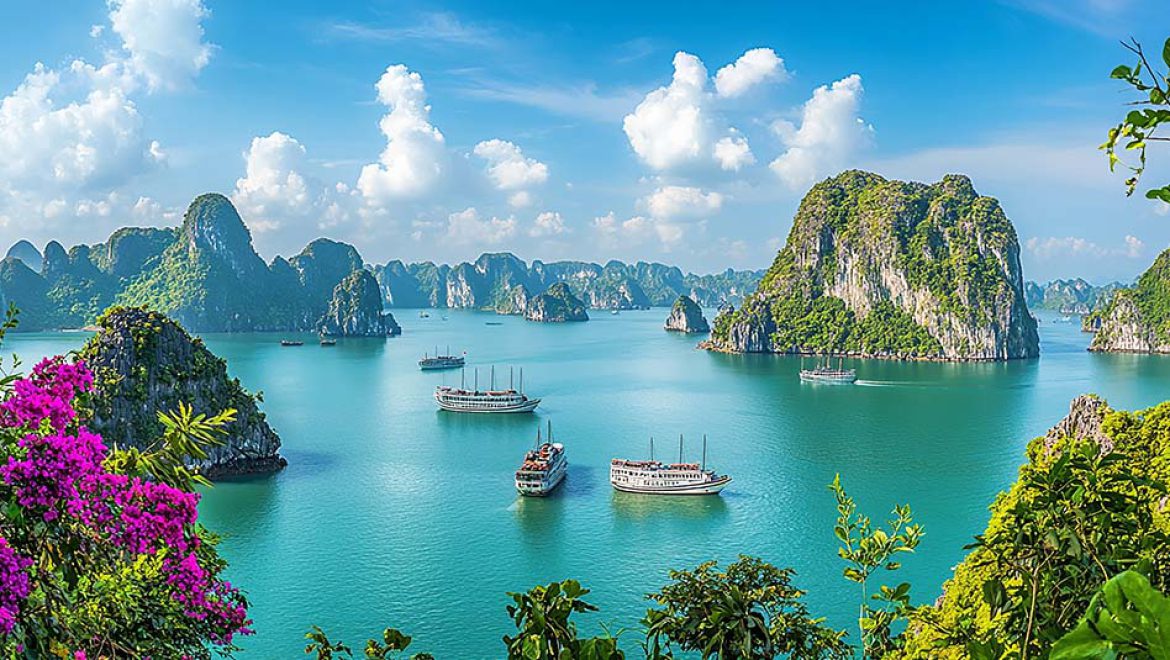 הספינה Violet של Heritage Line עברה שדרוג יסודי