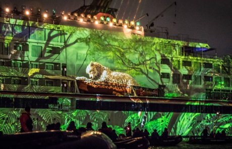 ספינה או ג’ונגל ?