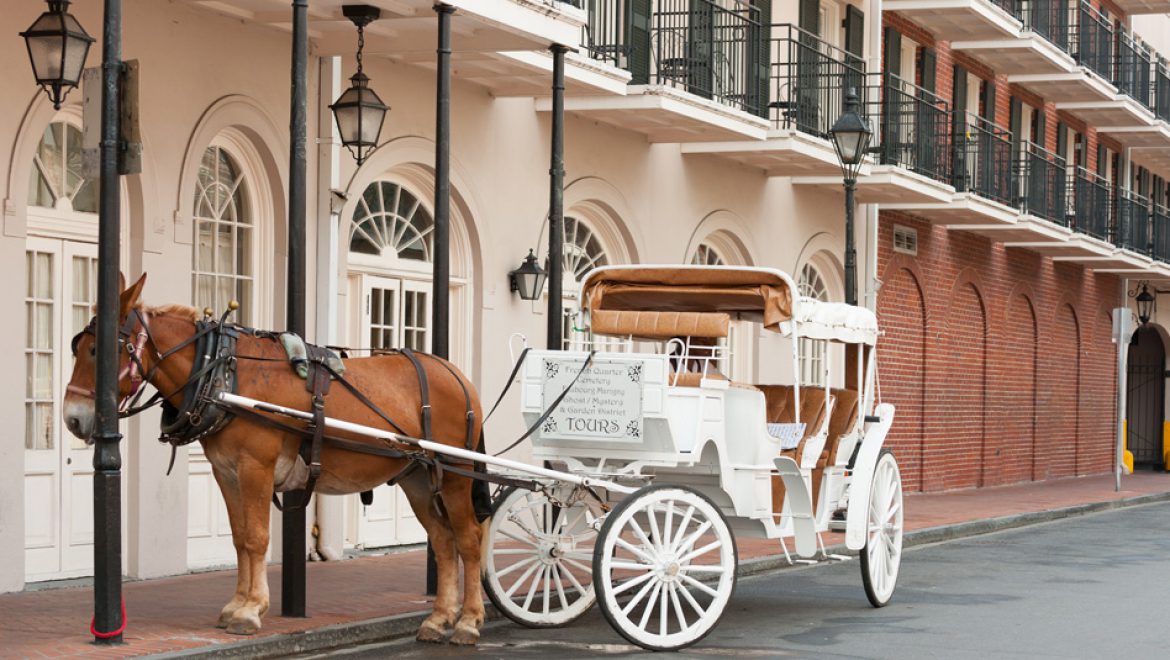 נמל הקרוזים של ניו אורלינס רשם שיאים חדשים