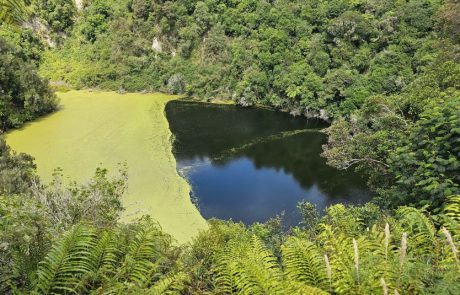 קרוז מאורגן של גולדן טורס לאוסטרליה וניו זילנד: חלום בקצה העולם
