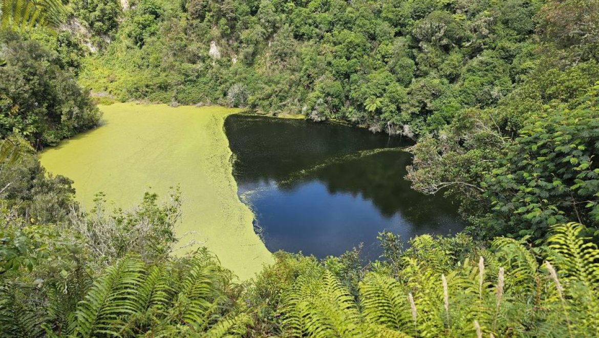 קרוז מאורגן של גולדן טורס לאוסטרליה וניו זילנד: חלום בקצה העולם