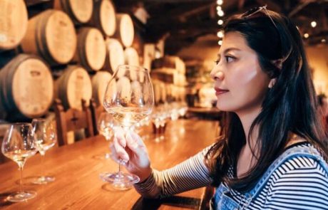 פרינסס קרוזס חושפת חוויות חוף חדשות בריביירה המקסיקנית