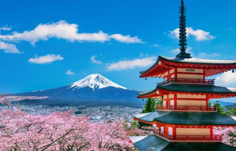 אוהיו יפן: פרינסס מקרבת אליכם את יפן בעונת השייט 2026