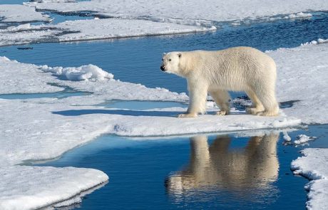 פוננט חוצה גבולות: הפלגות קצרות לקוטב הצפוני ב־2027