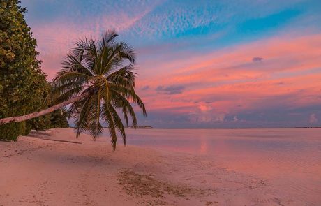 ביטולי עגינות בברמודה בשל המשך הדרישה לבדיקות קורונה