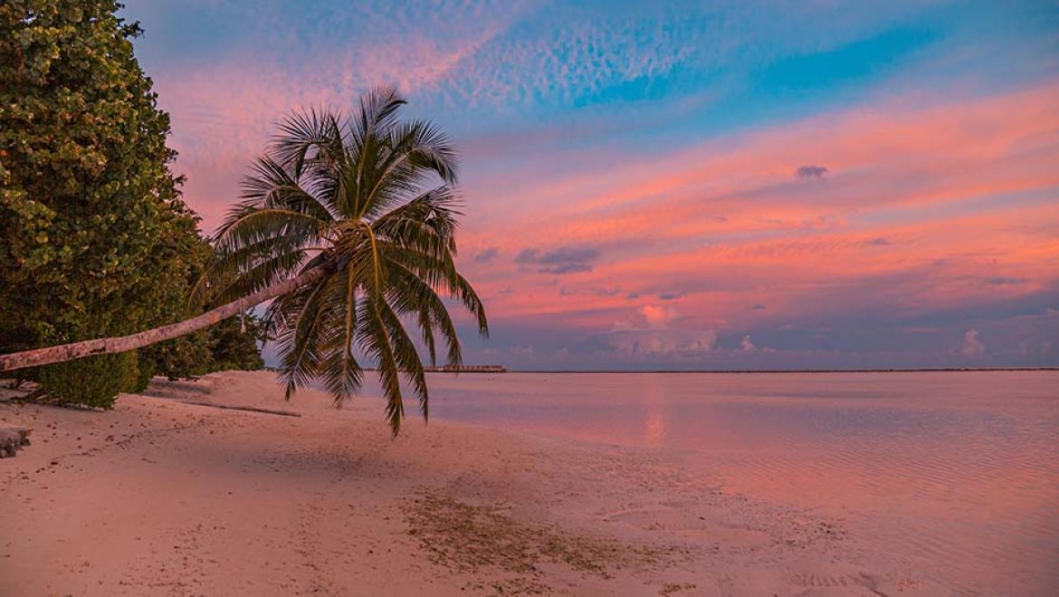 ביטולי עגינות בברמודה בשל המשך הדרישה לבדיקות קורונה
