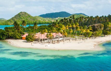 מרטיניק על המפה: זינוק בתנועת הנוסעים והכרזה על פעילות שנתית