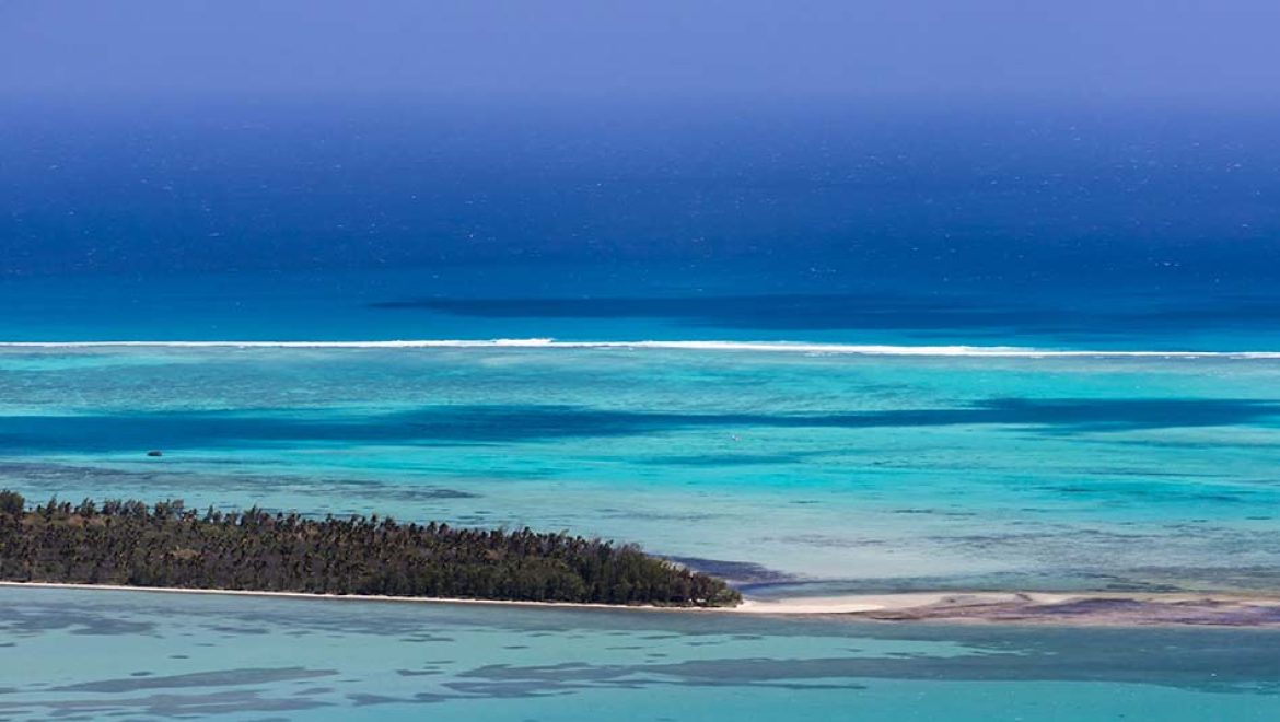 טרגדיה בלב ים: איש צוות אוניית קרוזים נהרג לאחר שקפץ מהאונייה