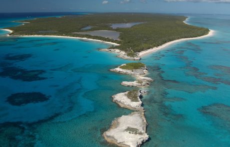 דיסני קרוז ליין השיקה אתר ייחודי לפרויקט נקודת המגדלור
